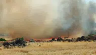 Şanlıurfa'da korkutan yangın: 50 dönümlük buğday ekili arazi alev alev yandı