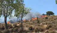 Bodrum'da yangın: Havadan ve karadan müdahale!