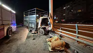 Kocaeli'de feci kaza! Kamyonet, yön tabelasına çarptı