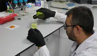 Mide kanserine çare Türkiye’den mi geliyor? Yeni molekül yüzde 60 başarı sağladı