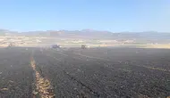 Elazığ'da 50 dönümlük buğday tarlası alevlere teslim oldu!