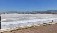 Denizli'de zehirlenme şüphesi: Serada çalışan 26 işçi hastaneye kaldırıldı