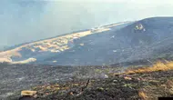 Tekirdağ'da anız yangını: Ormana da sıçradı