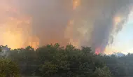 Eskişehir'de orman yangını çıktı!