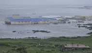 Rusya'da deprem alarmı: Tsunami 4 metreyi aştı, balinalar kıyıya vurdu!