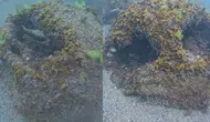 Ordu'da denizde gizemli cisim bulundu! SAS komandoları bölgede