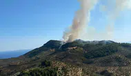 Çanakkale Ayvacık orman yangını devam ediyor mu, söndürüldü mü? İşte son gelişmeler
