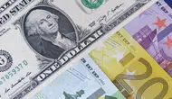 1 Temmuz Salı dolar ve euro fiyatları kaç TL oldu?