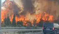 İzmir Buca'da orman yangını! Ekipler müdahale ediyor