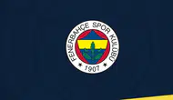 Fenerbahçe'nin UEFA kazancı yaklaşık 19,5 milyon avro
