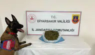 Diyarbakır’da uyuşturucu operasyonu: 41 kilogram esrar ele geçirildi, 25 şüpheli yakalandı