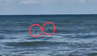 Akçakoca'da boğulma ihbarı verilen gençler sörfçü çıktı