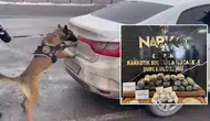 Erzurum'da otomobildeki uyuşturucuyu Hera buldu : 2 şüpheli tutuklandı