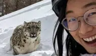 Çin'de leoparla selfie çekmek isteyen kadın ölümden son anda kurtuldu