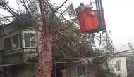 Mersin'de fırtına : Ağaç, müstakil evin üzerine yıkıldı
