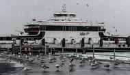 İstanbul Bandırma İDO seferleri iptal edildi