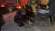 Tokat'ta boş evin balkonunda mahsur kalan kediyi itfaiyeciler kurtardı
