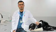 Sivas'ta bir köpeğin idrar kesesinden çıkanlar şaşkınlık yarattı