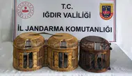 Iğdır'da kaçak keklik avlayan 3 şüpheliye rekor ceza