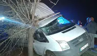 Adıyaman'da kamyonet ağaca çarptı : Sürücü yaralandı