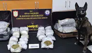 Sivas'ta uyuşturucu operasyonu : 12 kilo skunk ele geçirildi