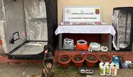 Zonguldak'ta uyuşturucu operasyonu : 2 tutuklu