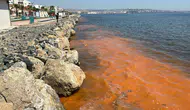 Tekirdağ sahilinde renk değişimi : Su yüzeyi turuncu oldu
