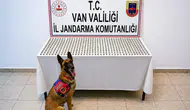 Van'da uyuşturucu operasyonu : 8 şüphelinin midesinden 3 kiloyu aşkın esrar çıktı