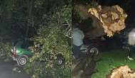 Bartın'da fırtına etkisi : Araçlarda maddi hasar oluştu