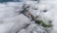 Sakarya'da fındık bahçeleri sis altında kayboldu