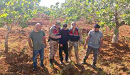 Şanlıurfa'da kaybolan çocuk fıstık bahçesinde bulundu