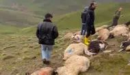 Van'da sürüye yıldırım isabet etti : 30 koyun telef oldu