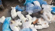 İzmir'deki '33 ölü kedi' soruşturmasında yeni gelişme : Veteriner yeniden gözaltına alındı