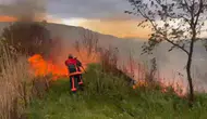 Elazığ'da otluk alanda yangın çıktı
