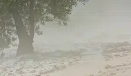 Denizli Buldan'da şiddetli dolu yağışı etkili oldu