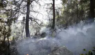 Fethiye'deki orman yangını kontrol altına alındı