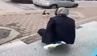 Kocaeli'de kedinin yüzüne yağ çözücü sprey sıkan market çalışanı gözaltına alındı