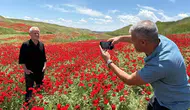 Görenler fotoğrafını çekmeden gitmiyor : Nohut tarlası kıpkırmızı oldu!
