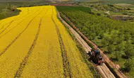 Tekirdağ'da tarla yolu bakım çalışmaları sürüyor