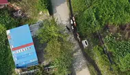 Sakarya'da kaybolan 7 büyükbaş hayvan jandarma dronuyla bulundu