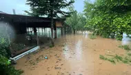 Bartın'da sağanak : Tarım arazilerini su bastı