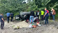 Giresun'da kediye çarpmamak isteyen otomobil plaja uçtu : 4 yaralı