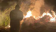 Hatay'da korkutan bahçe yangını