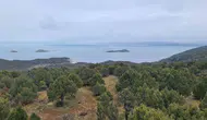 Türkiye'nin en büyük tatlı su gölü Beyşehir koruma altına alınıyor !