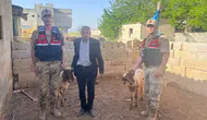 Kilis'te jandarma ekipleri kaybolan koyunları buldu