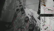 Bayburt'ta yiyecek arayan vahşi hayvanlar köye indi : Ayı, kurt ve tavşanın peşine takıldı
