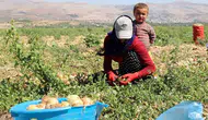 Bakan Yumaklı Dünya Çiftçiler Günü'nü kutladı