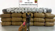 Van'da uyuşturucu operasyonu : Yarım tona yakın madde ele geçirildi