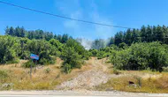 Muğla Menteşe'de orman yangını