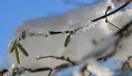 Meteoroloji uyardı : Kayseri'de zirai don bekleniyor